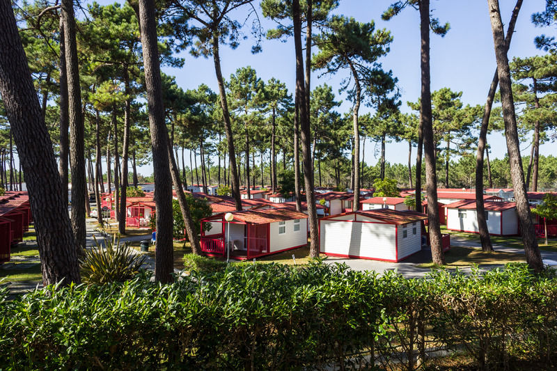 Parque De Campismo Orbitur Sao Pedro De Moel Hotel Buitenkant foto